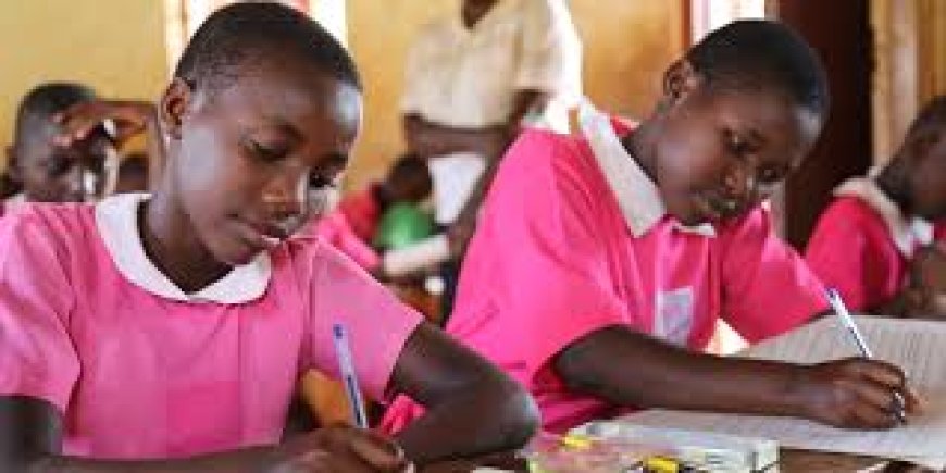 Cukule a Gamente i Lango Otimo Agoro iyi Adwogi Peny me klaci 7 me Mwaka 2024 ka Oporo kede Cukule Acung kede Wii Gi.